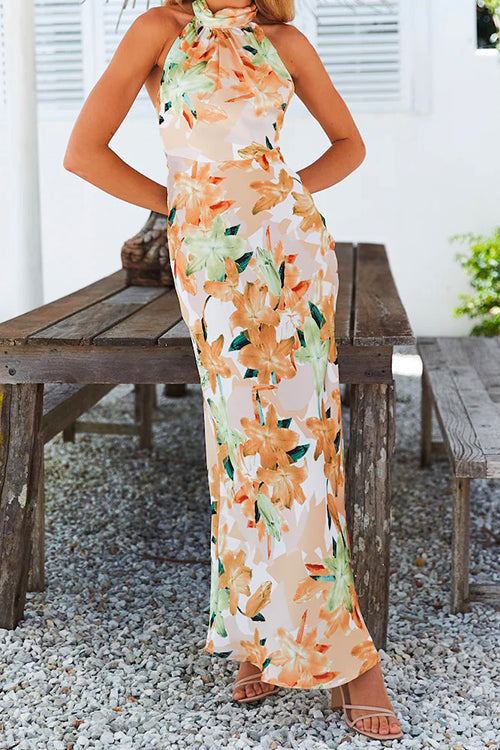 Mixiedress Tie Neck Backless Floral Printed Maxi Flowy Dress