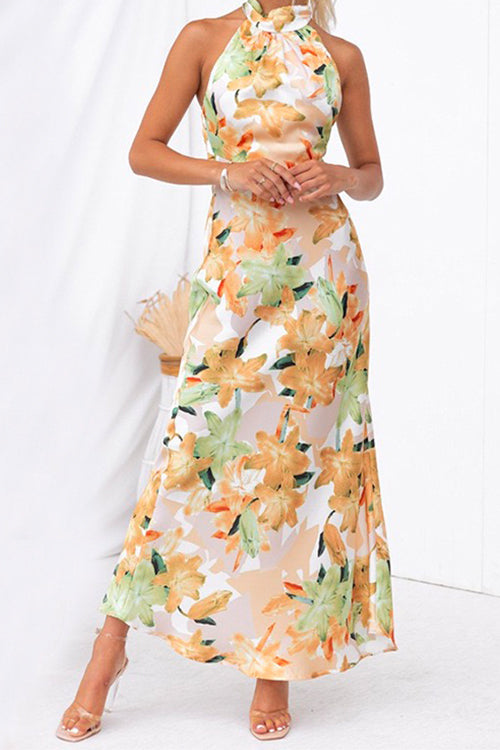 Mixiedress Tie Neck Backless Floral Printed Maxi Flowy Dress