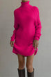Mixiedress Turtleneck Raglan Sleeves Ribbed Knit Mini Sweater Dress